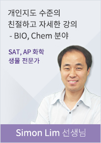 강사 이미지